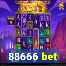 88666 bet