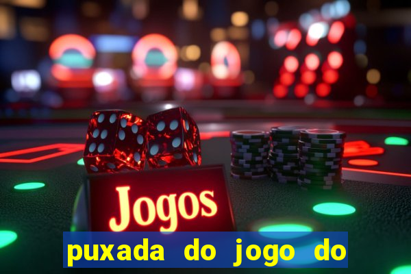 puxada do jogo do bicho da sueli