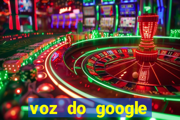 voz do google tradutor homem