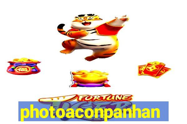 photoaconpanhante.