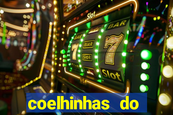 coelhinhas do brasil recife