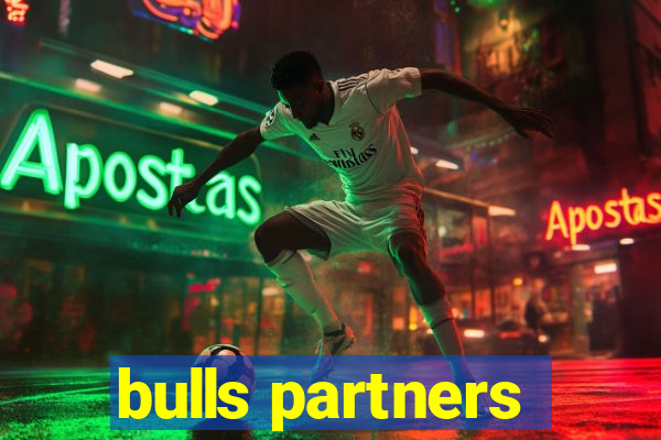 bulls partners