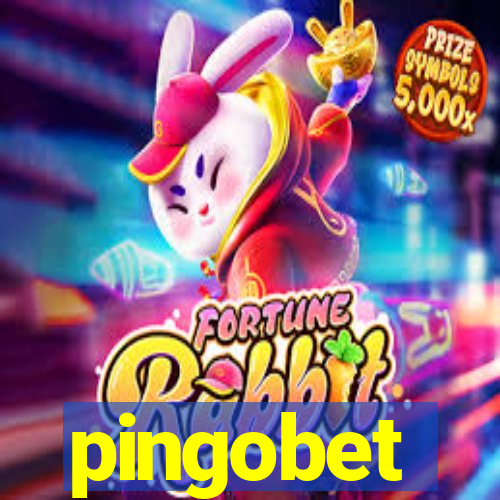 pingobet