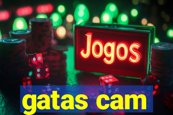 gatas cam