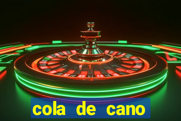 cola de cano quanto tempo para secar