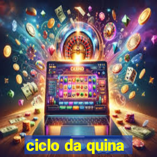 ciclo da quina