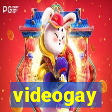 videogay