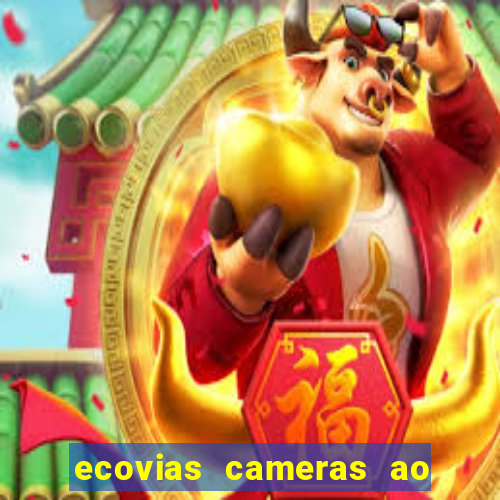 ecovias cameras ao vivo santos