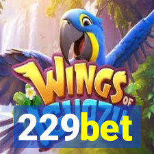 229bet