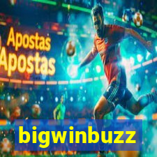 bigwinbuzz