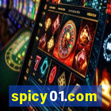 spicy01.com