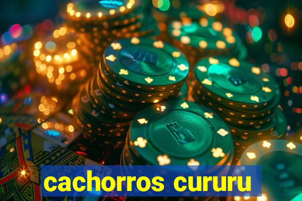 cachorros cururu