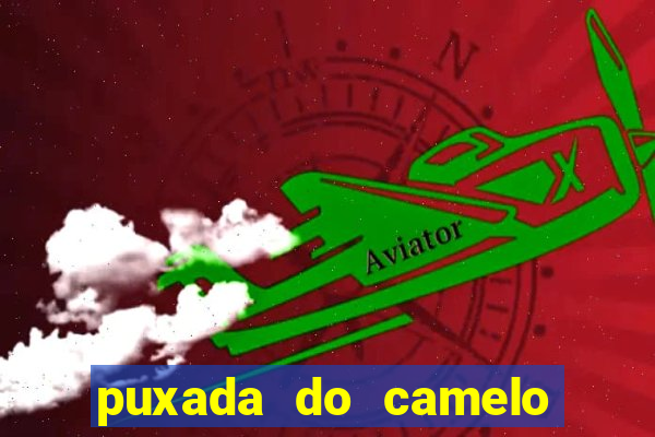 puxada do camelo jogo do bicho