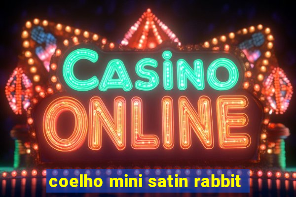 coelho mini satin rabbit