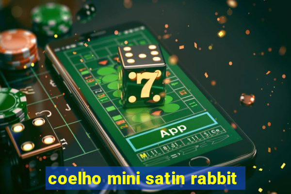 coelho mini satin rabbit