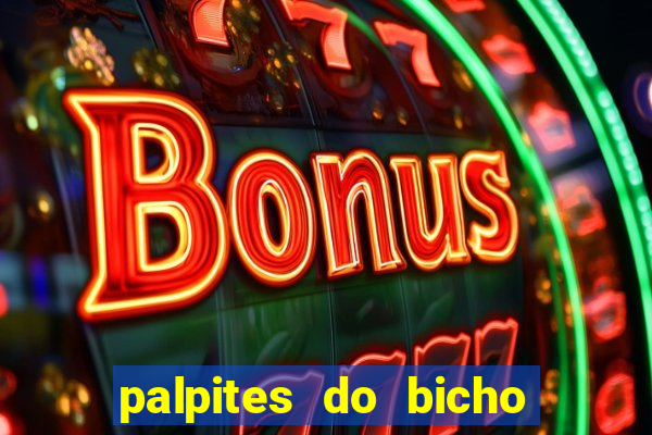 palpites do bicho no celular