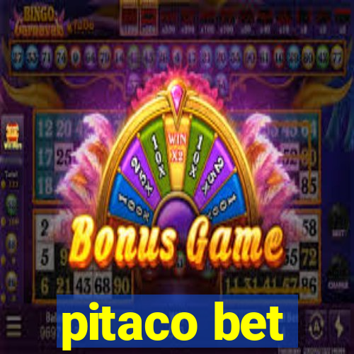 pitaco bet