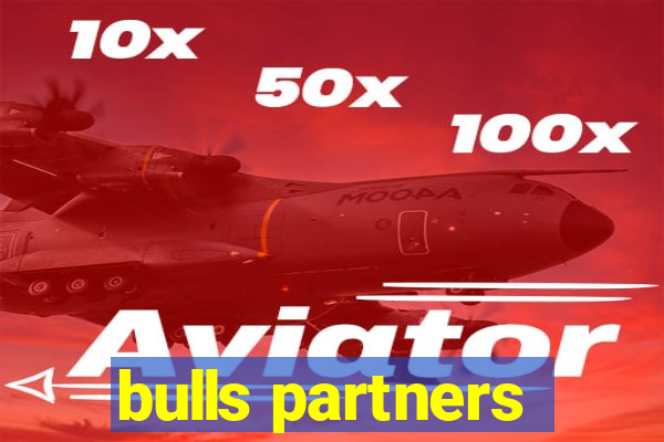 bulls partners