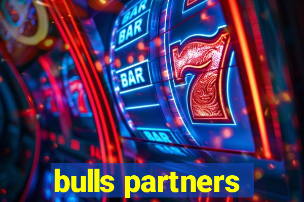 bulls partners