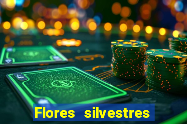 Flores silvestres brasileiras brasileiras flores silvestres nomes e imagens