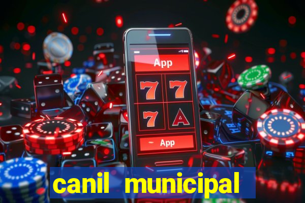 canil municipal porto alegre