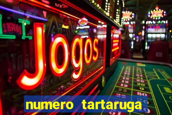 numero tartaruga jogo do bicho