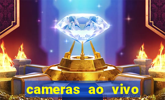 cameras ao vivo beto carrero